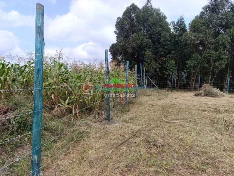 Residential Land For Sale Lusigetti Lussigetti Kikuyu Kiambu - 2