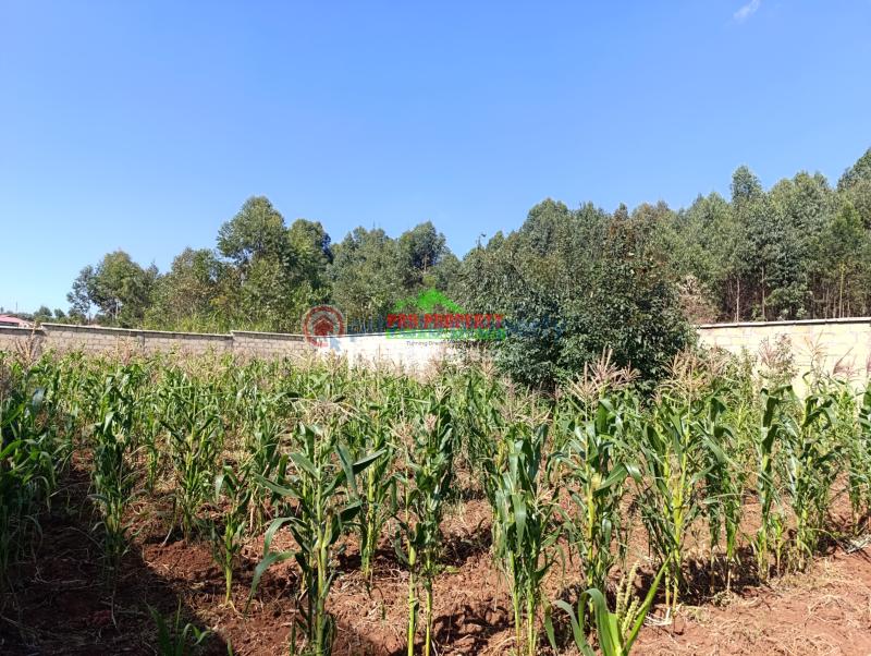 Residential Land For Sale Ondiri Kikuyu Kiambu - 1