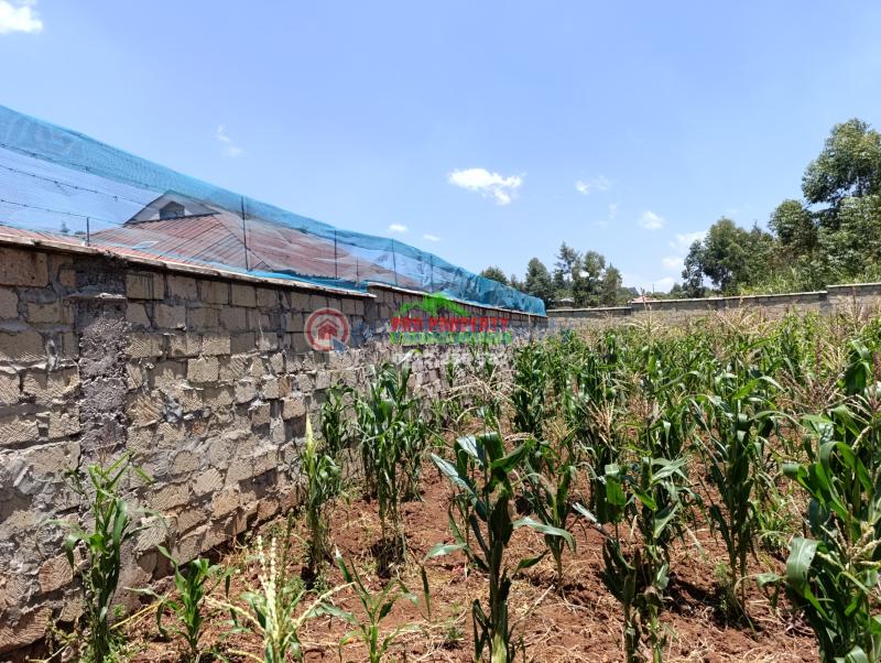 Residential Land For Sale Ondiri Kikuyu Kiambu - 4