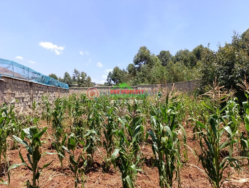 Residential Land For Sale Ondiri Kikuyu Kiambu - 5