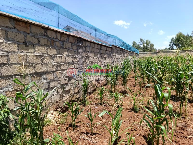 Residential Land For Sale Ondiri Kikuyu Kiambu - 3