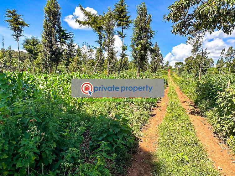 Residential Land For Sale &nbsp;gikambura Kikuyu Kiambu - 3