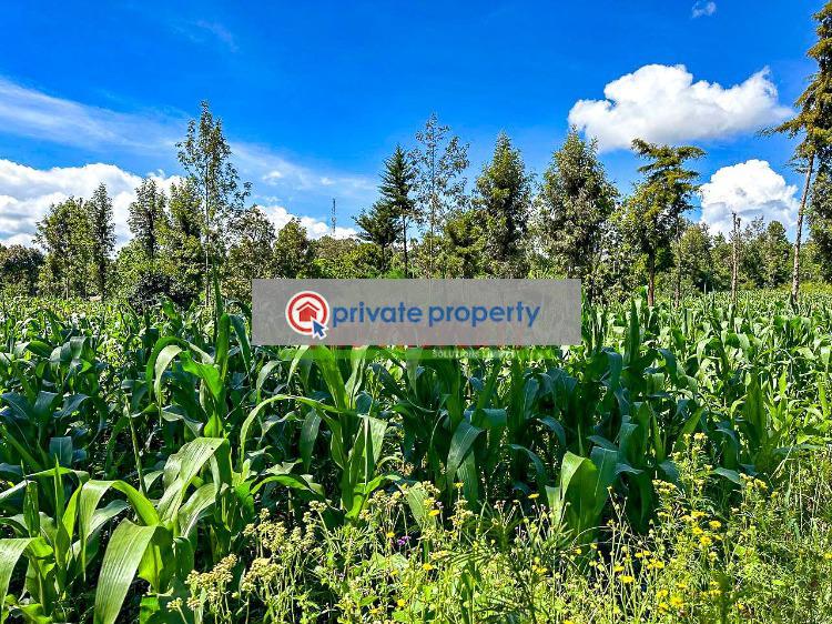 Residential Land For Sale &nbsp;gikambura Kikuyu Kiambu - 12