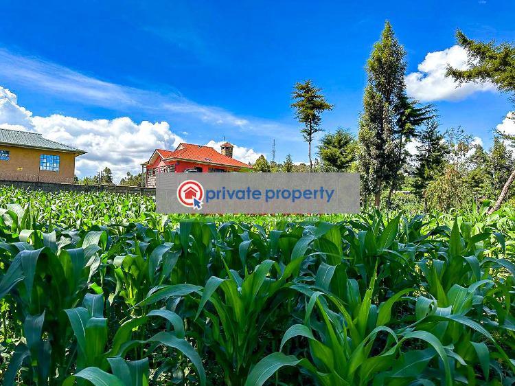 Residential Land For Sale &nbsp;gikambura Kikuyu Kiambu - 8