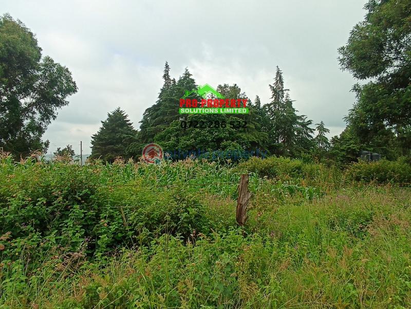 Residential Land For Sale Ondiri Kikuyu Kiambu - 6