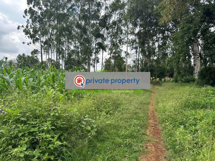 Residential Land For Sale &nbsp;thogoto Kikuyu Kiambu - 8