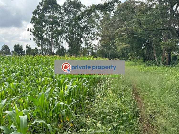 Residential Land For Sale &nbsp;thogoto Kikuyu Kiambu - 5