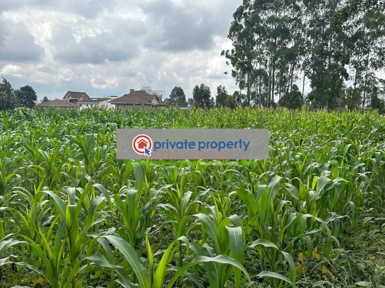 Residential Land For Sale &nbsp;thogoto Kikuyu Kiambu - 7