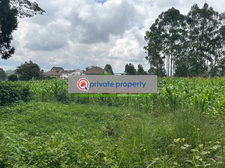 Residential Land For Sale &nbsp;thogoto Kikuyu Kiambu - 2