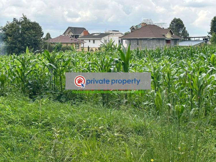 Residential Land For Sale &nbsp;thogoto Kikuyu Kiambu - 4