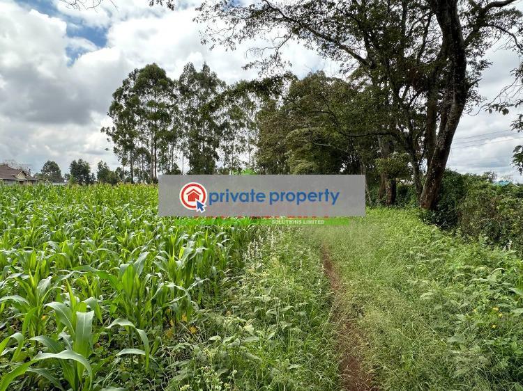 Residential Land For Sale &nbsp;thogoto Kikuyu Kiambu - 6