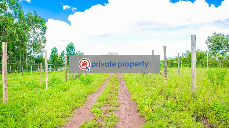 Residential Land For Sale &nbsp;migumoini Kikuyu Kiambu - 6