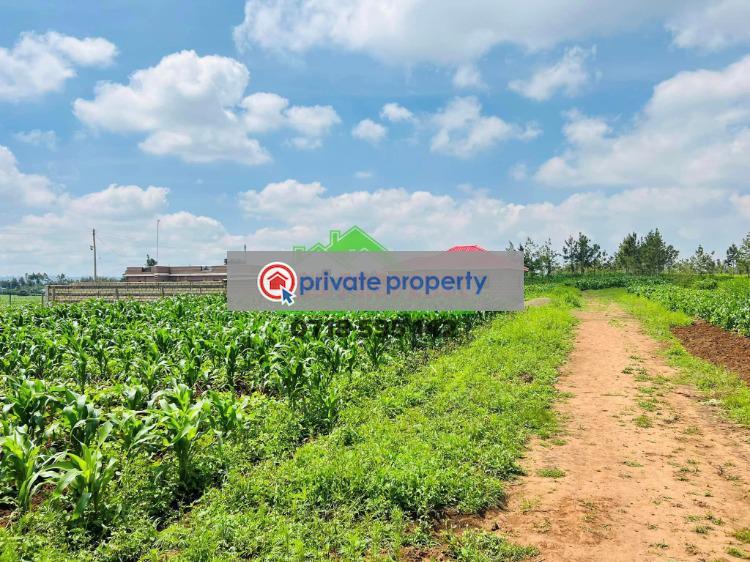 Residential Land For Sale &nbsp;kamangu Kikuyu Kiambu - 4