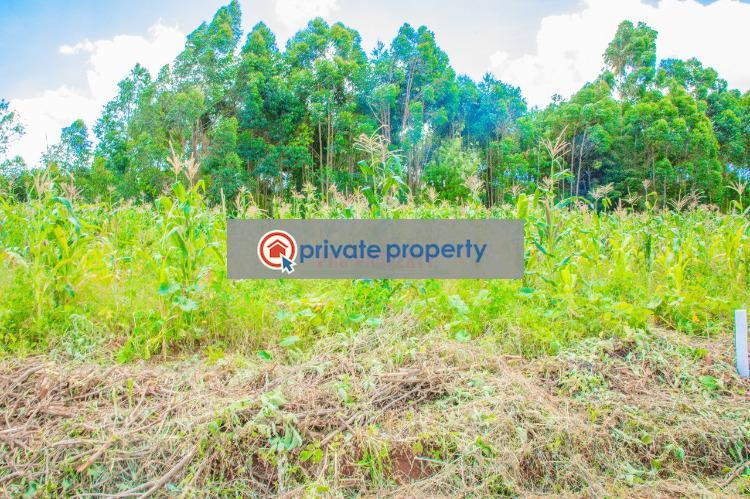Residential Land For Sale &nbsp;gikambura Kikuyu Kiambu - 6