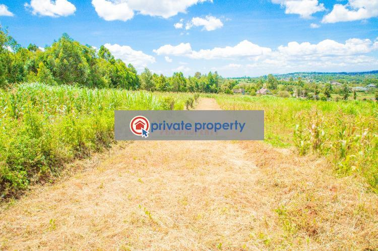Residential Land For Sale &nbsp;gikambura Kikuyu Kiambu - 9