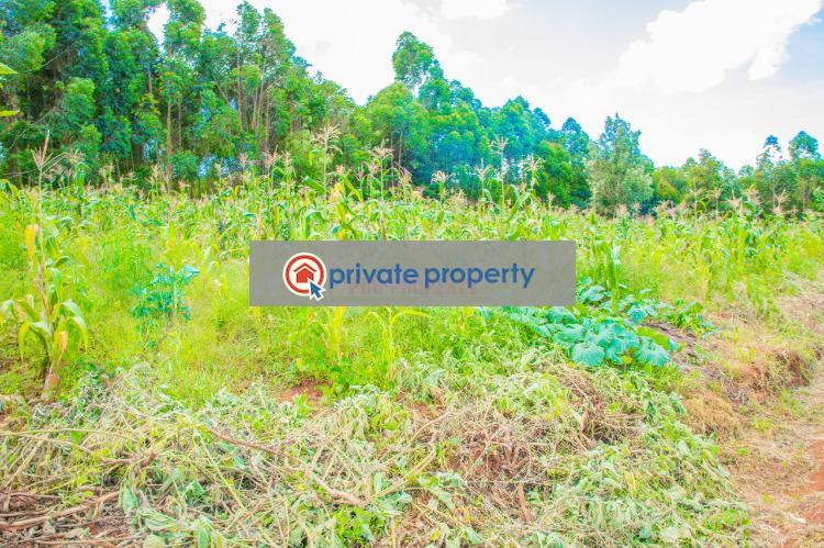 Residential Land For Sale &nbsp;gikambura Kikuyu Kiambu - 8