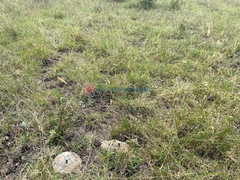Land For Sale Juja South Estate Juja. Kiambu - 3