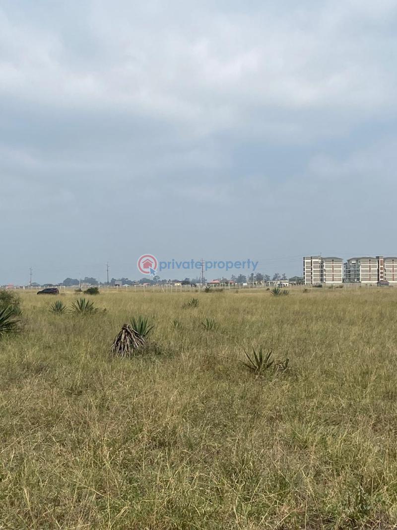 Land For Sale Juja South Estate Juja. Kiambu - 6