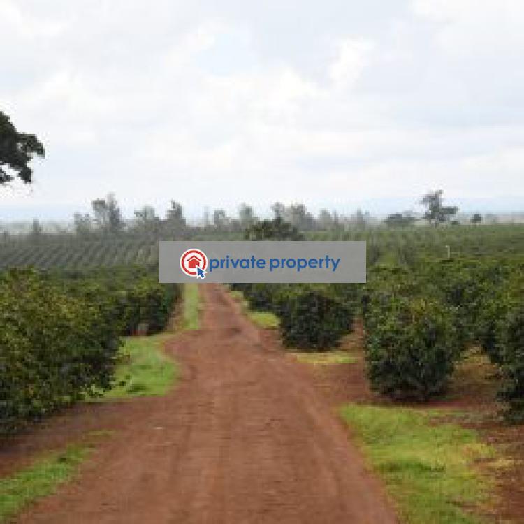 Residential Land For Sale Juja Kiambu - 3