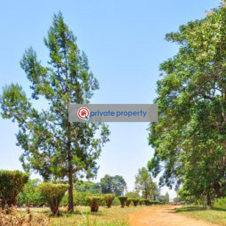 Residential Land For Sale Juja Kiambu - 4