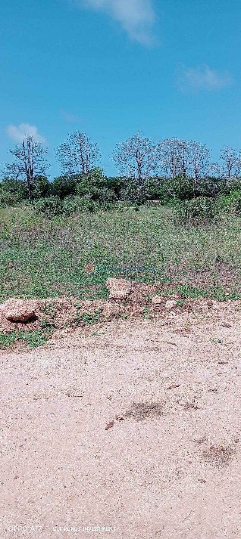Residential Land For Sale Kuruwitu Vipingo Beach. Mtwapa Kilifi - 16