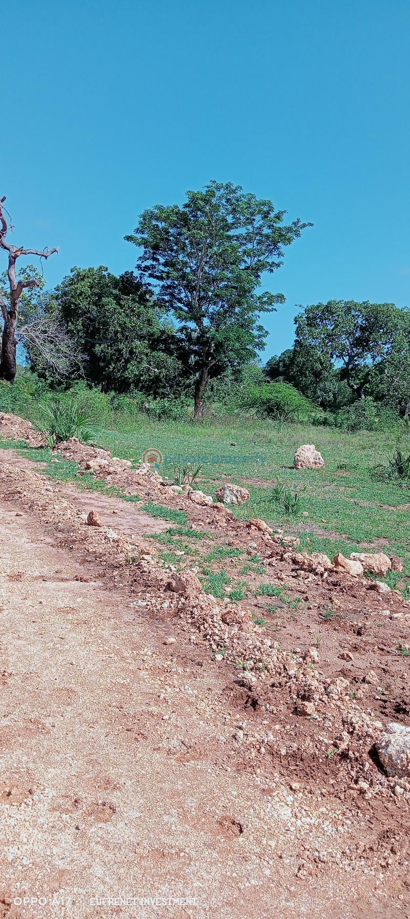 Residential Land For Sale Kuruwitu Vipingo Beach. Mtwapa Kilifi - 0