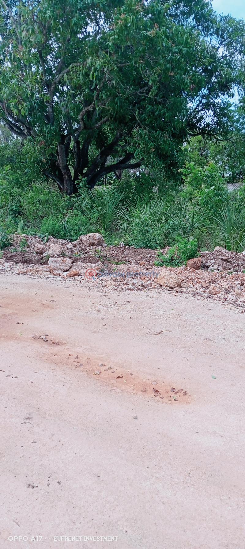 Residential Land For Sale Kuruwitu Vipingo Beach. Mtwapa Kilifi - 14