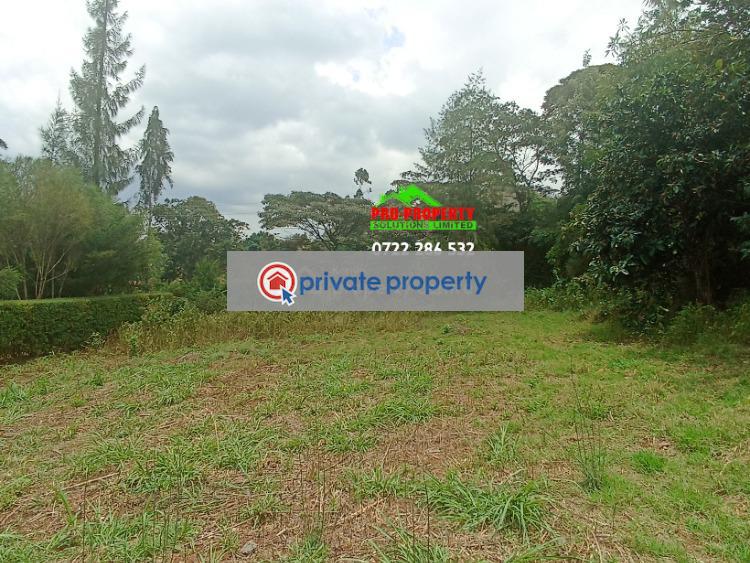 Residential Land For Sale &nbsp;ondiri Kikuyu Kiambu - 3