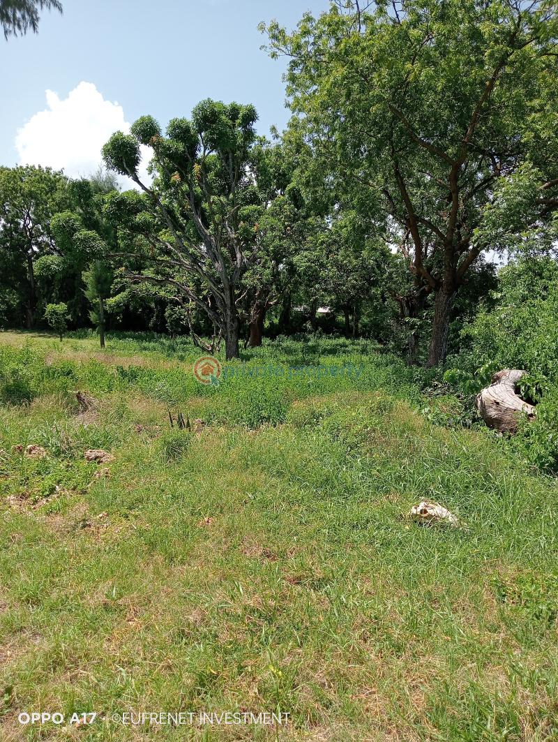 Land For Sale Kanamai Road Near Sun N Sand Beach Hotel Kanamai Mtwapa Kilifi - 1
