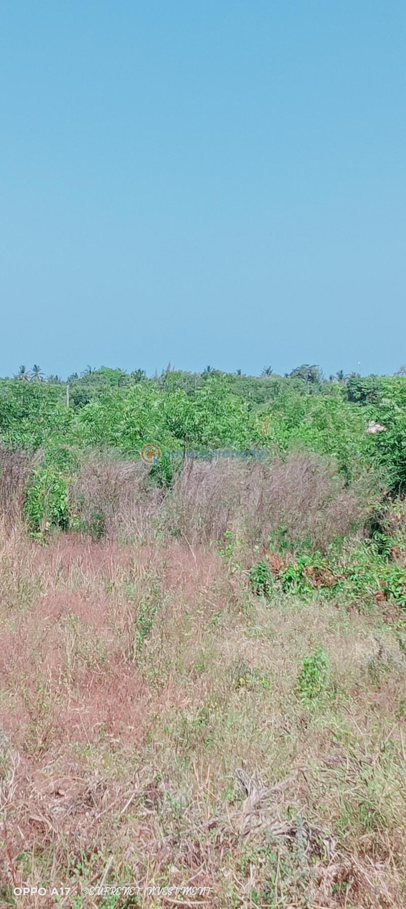 Land For Sale Kanamai Beach Road Kanamai Mtwapa Kilifi - 4