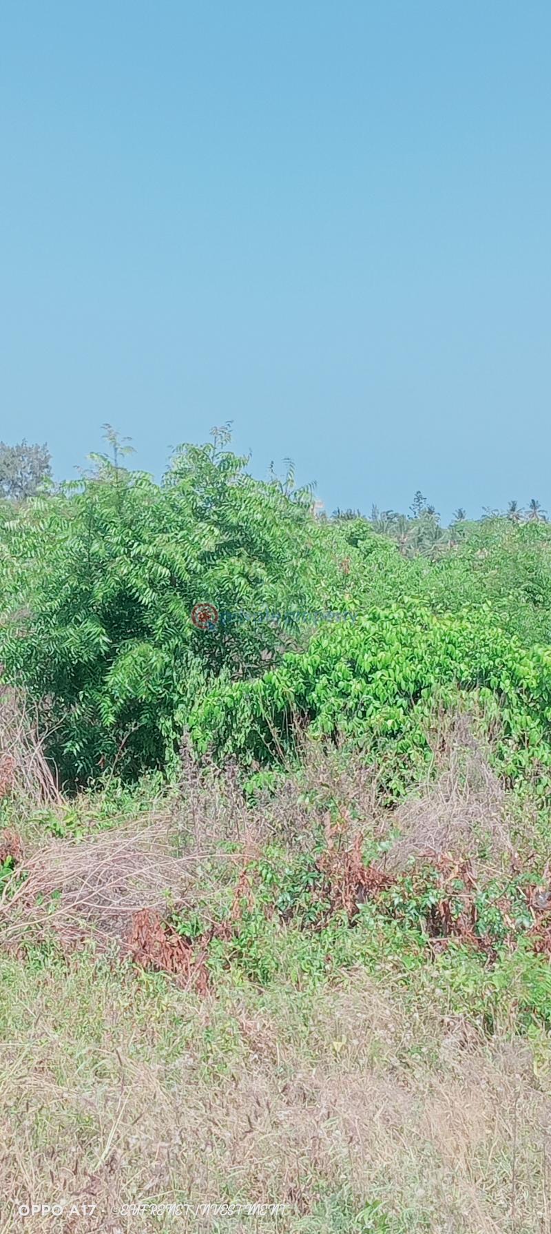 Land For Sale Kanamai Beach Road Kanamai Mtwapa Kilifi - 1