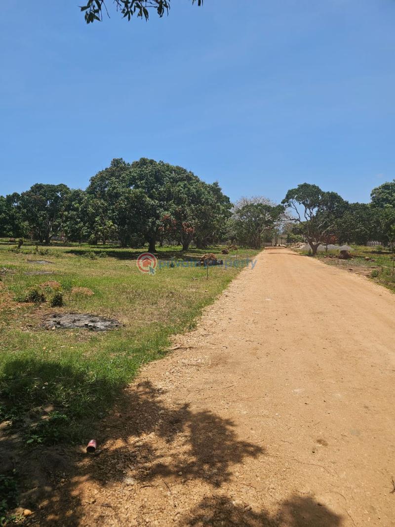 Land For Sale Kikambala Shanzu Mombasa - 1