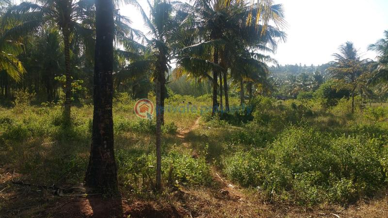 Land For Sale Gongoni Kilifi - 0