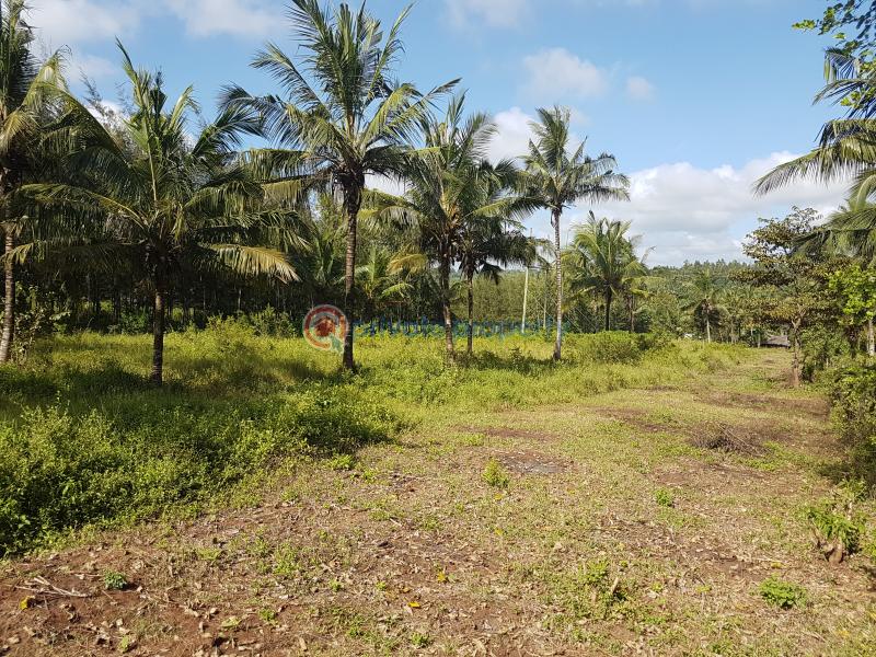 Land For Sale Gongoni Kilifi - 1
