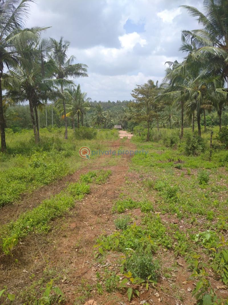 Land For Sale Gongoni Kilifi - 5