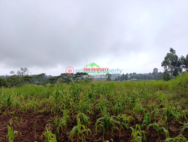Residential Land For Sale Karii Gikambura (nairobi Ndogo) Kikuyu Kiambu - 2