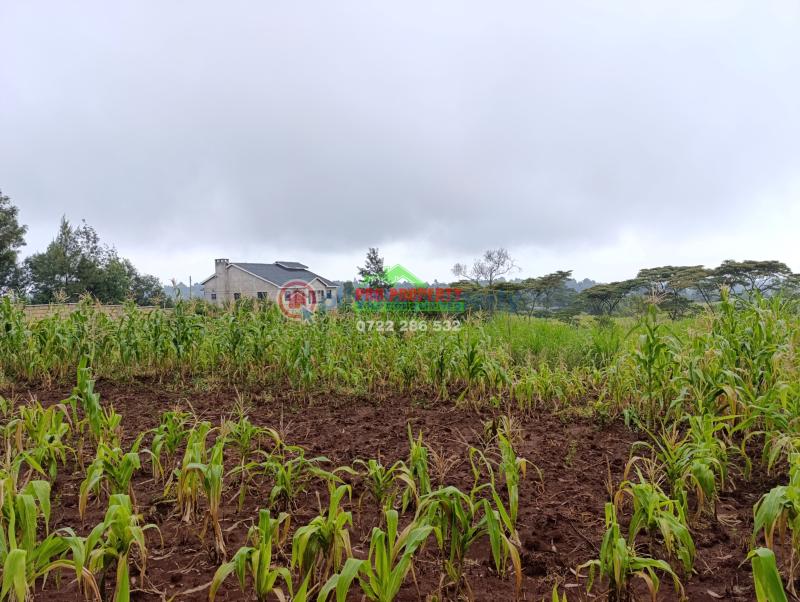 Residential Land For Sale Karii Gikambura (nairobi Ndogo) Kikuyu Kiambu - 1