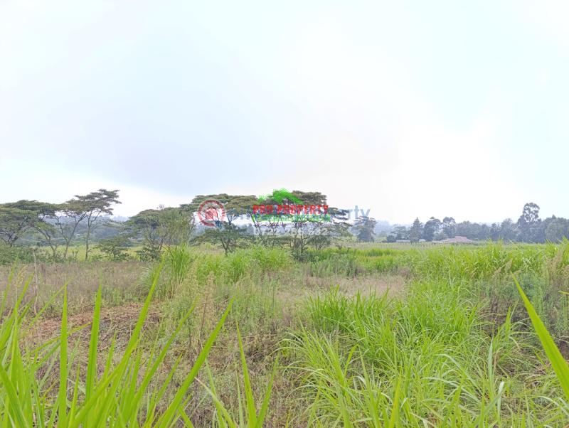 Residential Land For Sale Karii Gikambura (nairobi Ndogo) Kikuyu Kiambu - 3