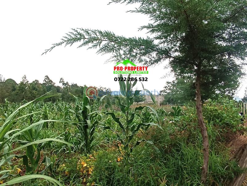 Residential Land For Sale Kamangu Kikuyu Kiambu - 5