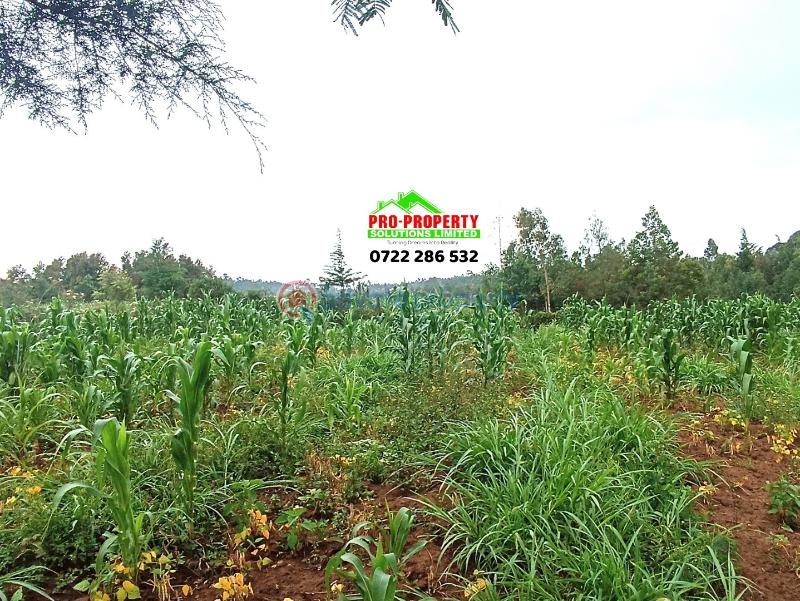 Residential Land For Sale Kamangu Kikuyu Kiambu - 2