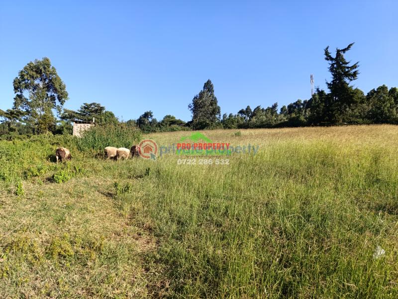 Residential Land For Sale Lusingetti Lussigetti Kikuyu Kiambu - 3