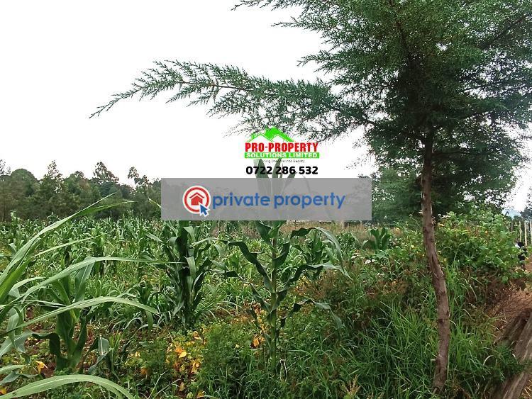 Residential Land For Sale &nbsp;kamangu Kikuyu Kiambu - 5