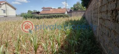 Land For Sale Kahawa Sukari Kahawa Kiambu - 3