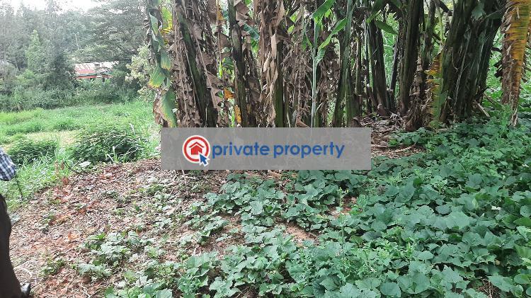 Residential Land For Sale &nbsp;bul Bul Ngong Kajiado - 6