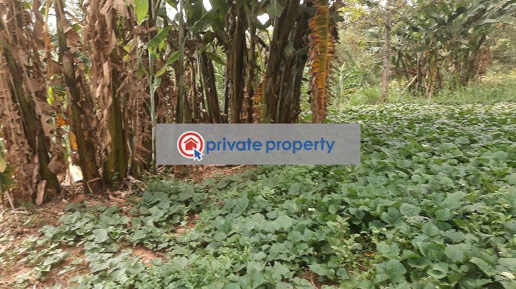 Residential Land For Sale &nbsp;bul Bul Ngong Kajiado - 5