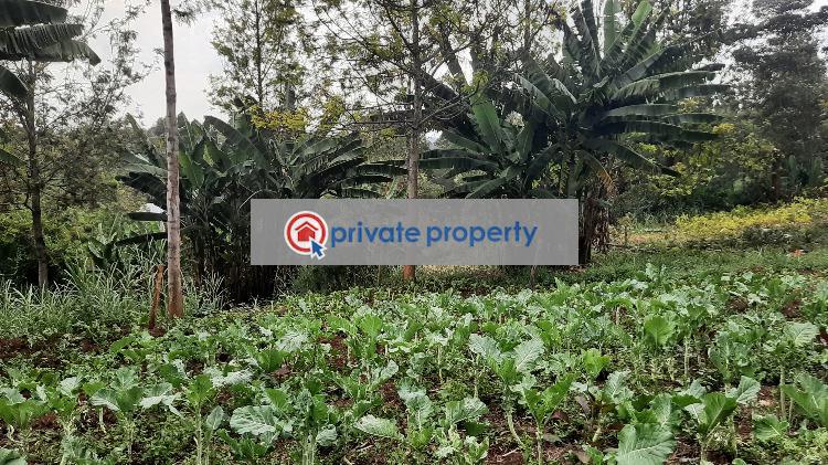 Residential Land For Sale &nbsp;bul Bul Ngong Kajiado - 2