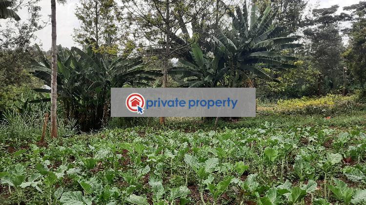 Residential Land For Sale &nbsp;bul Bul Ngong Kajiado - 1