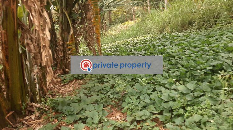 Residential Land For Sale &nbsp;bul Bul Ngong Kajiado - 8