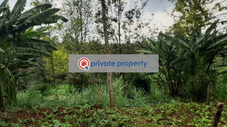 Residential Land For Sale &nbsp;bul Bul Ngong Kajiado - 3