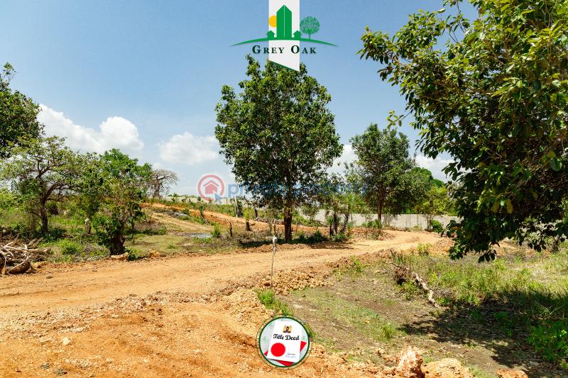 Mixed use Land For Sale Diani Ukunda Kwale - 2